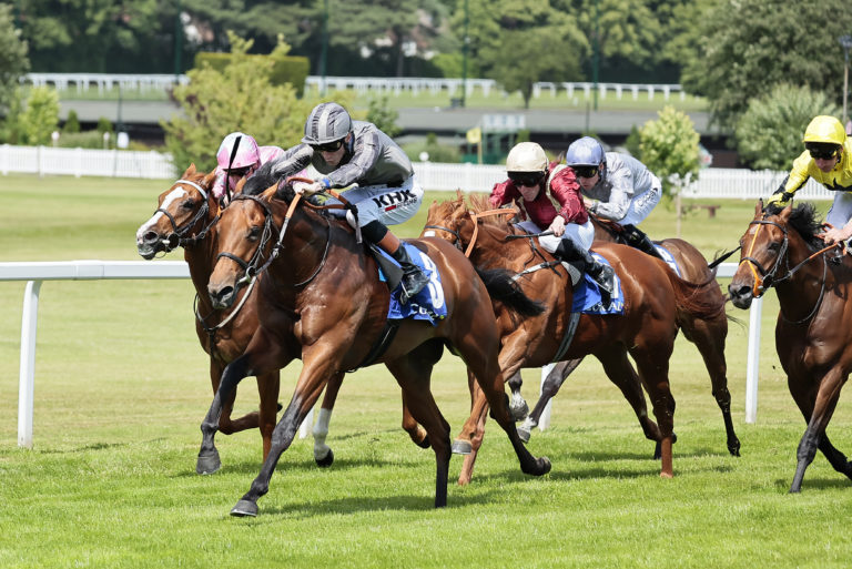 Mitbaahy will next be seen in the colours of Fitri Hay