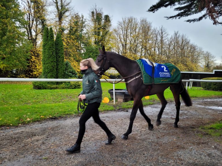 Allaho looked in top shape pre-race