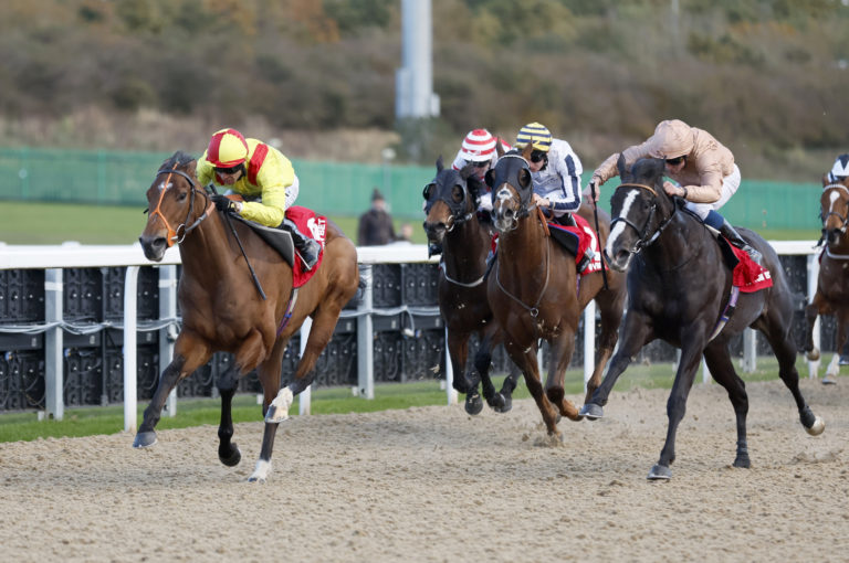 Tacarib Bay (left) got the better of Sense Of Duty
