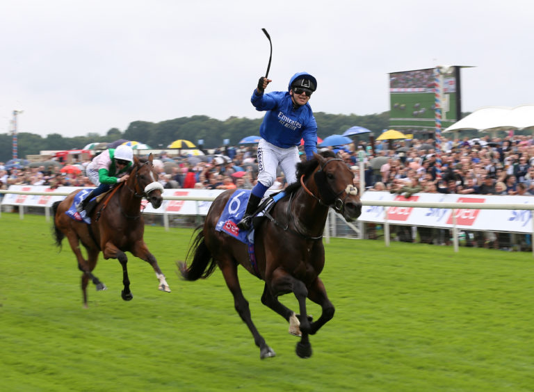 Real World is one of two in the race for Saeed bin Suroor