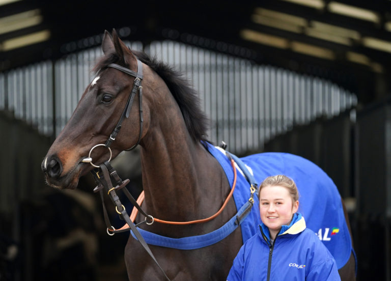 JPR One at Joe Tizzard's stables