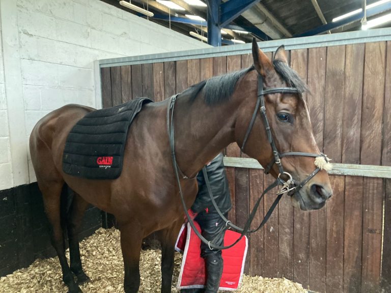 The Real Whacker in his stable