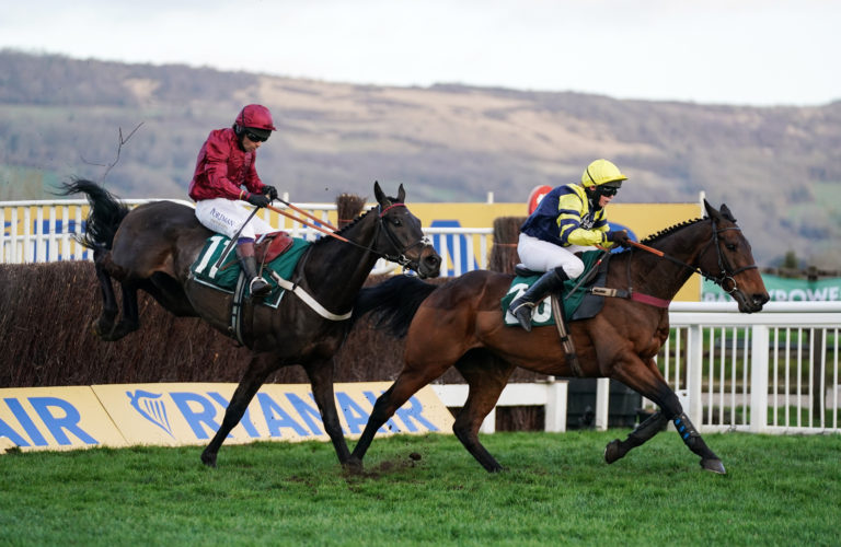 Mister Coffey (red) jumps a fence at Cheltenham
