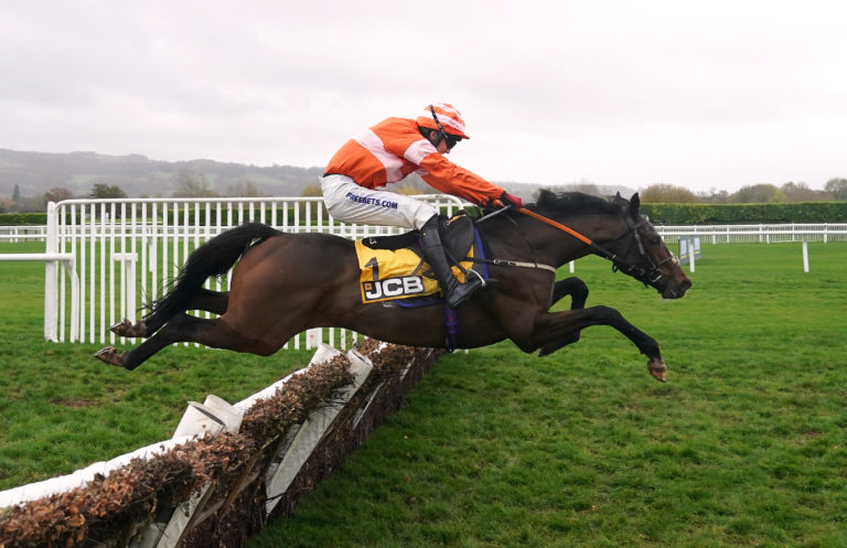 An Bradan Feasa in action at Cheltenham