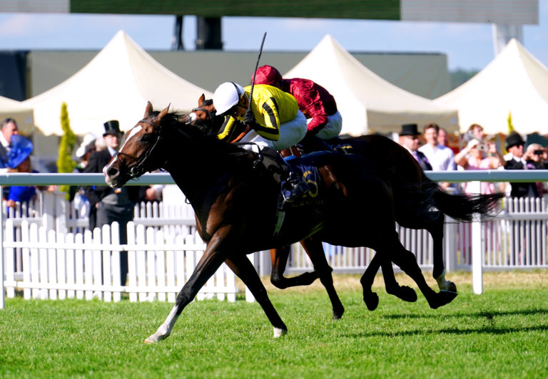 Burdett Road is already a Royal Ascot winner