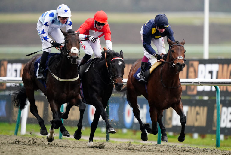 See That Storm (right) made a winning debut