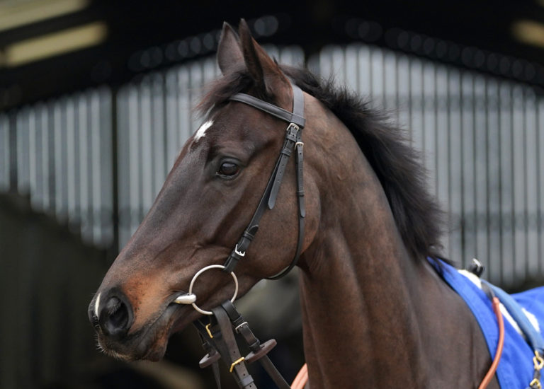 JPR One at Joe Tizzard's yard