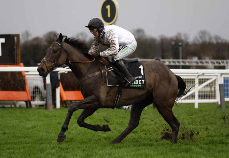 Constitution Hill won the Tolworth Hurdle at Sandown as a novice