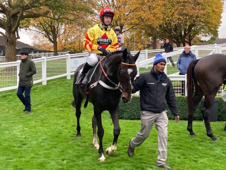 Southoftheborder returns to the Sandown winner's enclosure