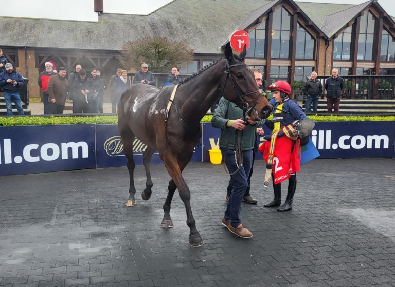 Embassy Gardens after winning at Punchestown