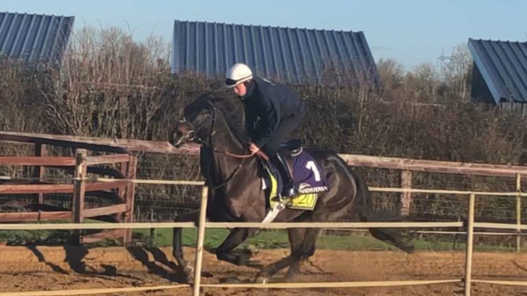 Marine Nationale going through his paces