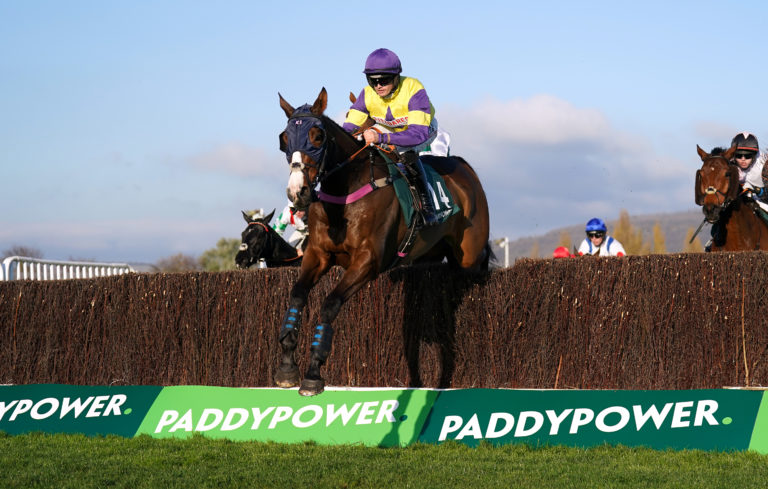 Storm Control is a previous Cheltenham winner