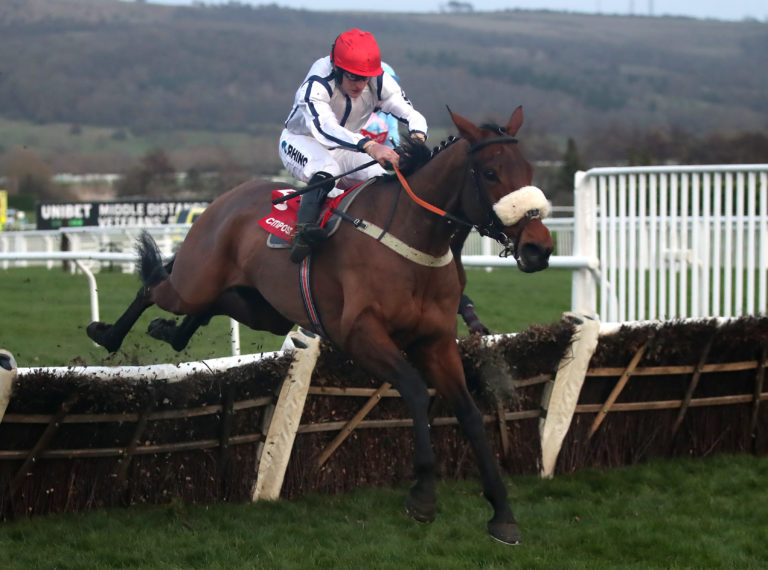 White Rhino won the final race at Cheltenham on Friday