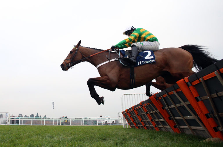 Champ jumping a hurdle at Ascot in 2021