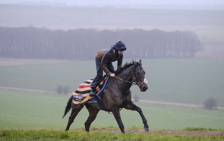 Constitution Hill on the gallops