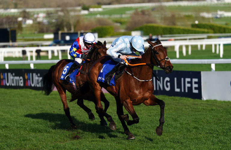 Honeysuckle eventually got the better of Love Envoi