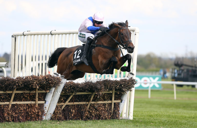 West Balboa and Harry Skelton at Aintree
