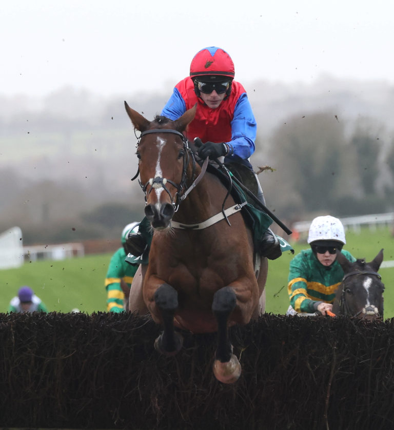 Facile Vega jumped well in the main on his chasing debut