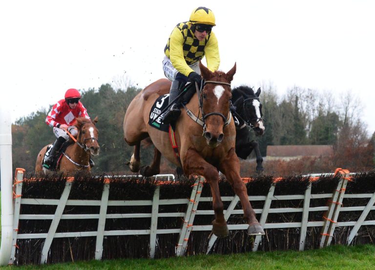 State Man only found Constitution Hill too good at Cheltenham
