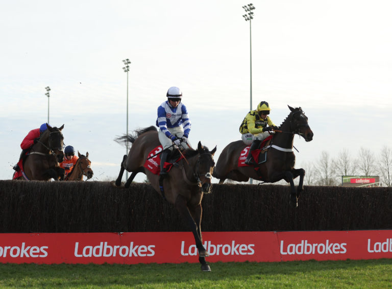 Shishkin (right) was running a fine race in the King George before coming unstuck