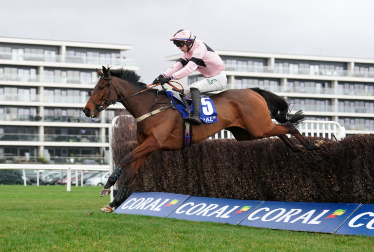 Issar D'Airy produced a fine round of jumping at Newbury