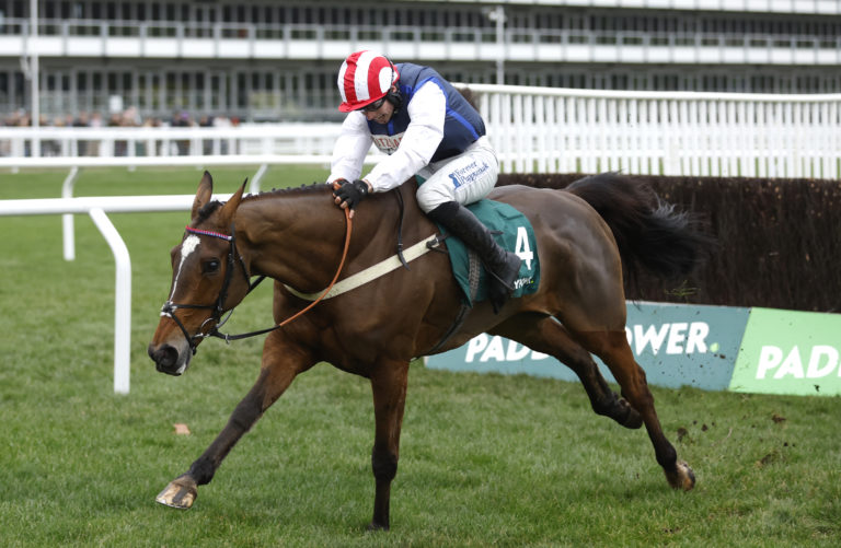 Shakem Up'Arry en route to winning on New Year's Day