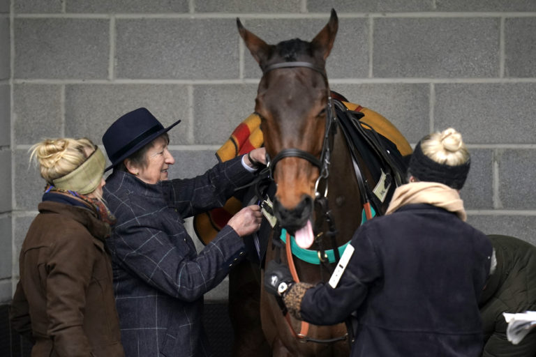 Henrietta Knight saddles Zettabyte