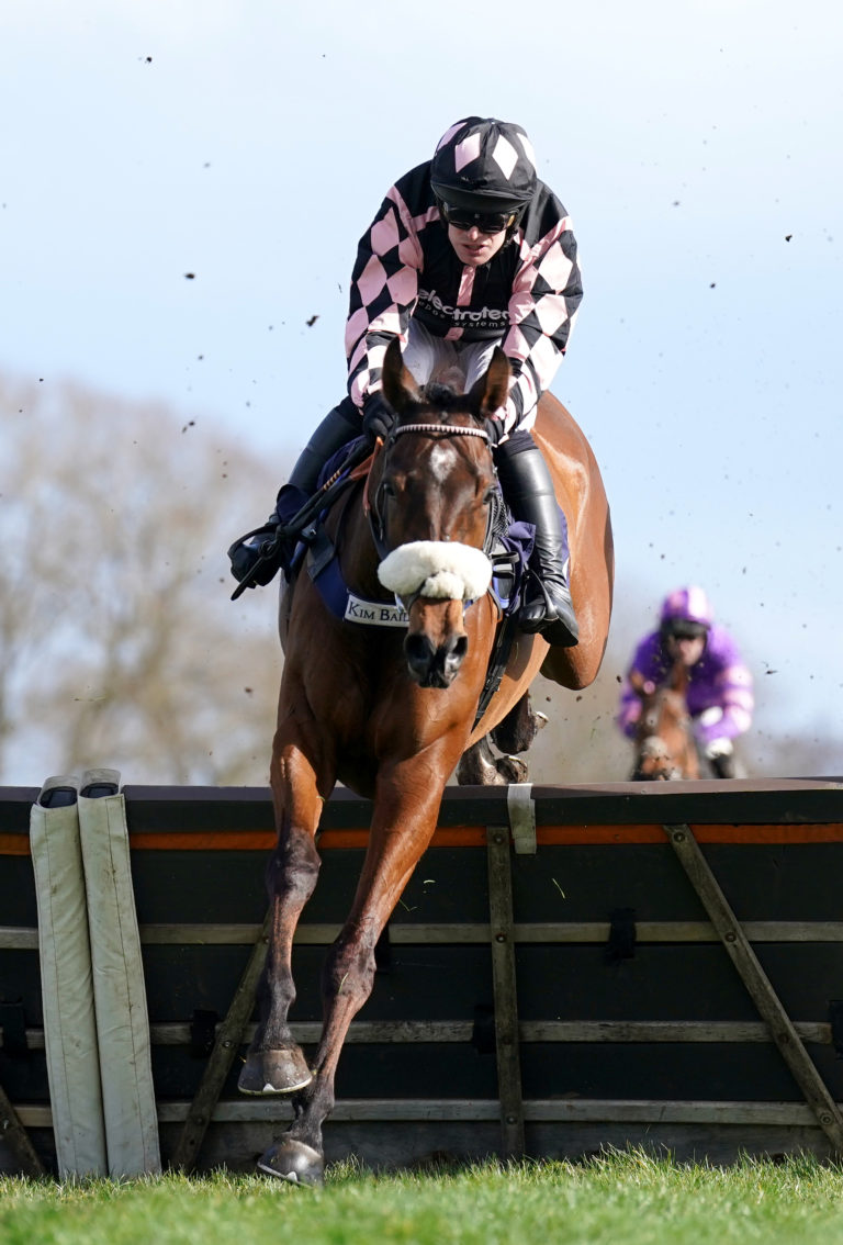 Kim Bailey's Trelawne during his hurdling career