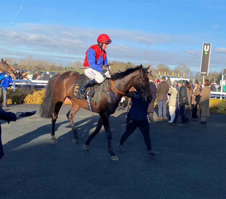 Donnacha is a horse on the up for Nigel Hawke