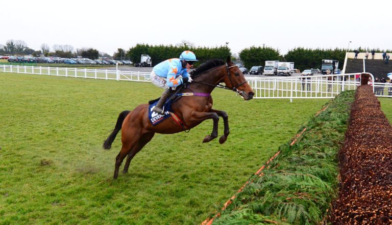 Un De Sceaux's jumping was one of his biggest assets