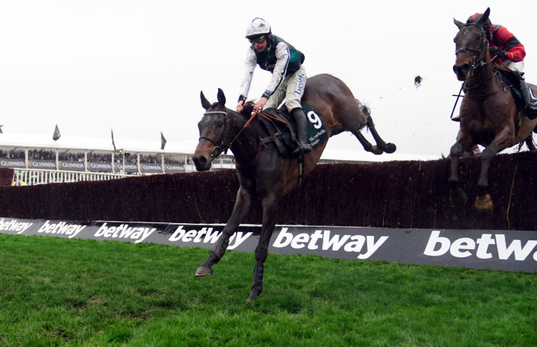 L'Homme Presse leads Ahoy Senor over the last