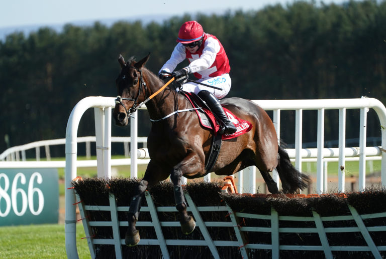 Sandor Clegane on his final start over hurdles at Punchestown