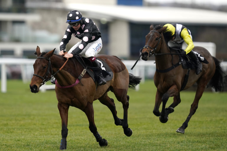 Pink Legend is one of the horses standing in Brides Hill's way at Huntingdon