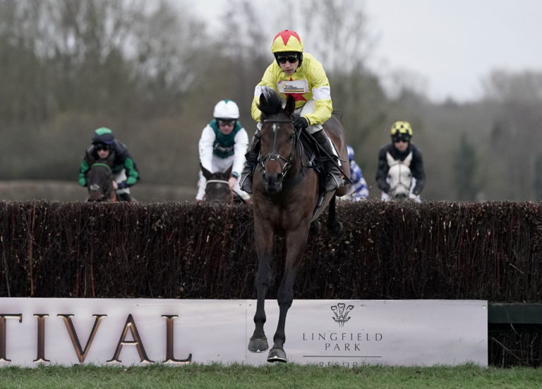 Protektorat went down on his shield at Lingfield