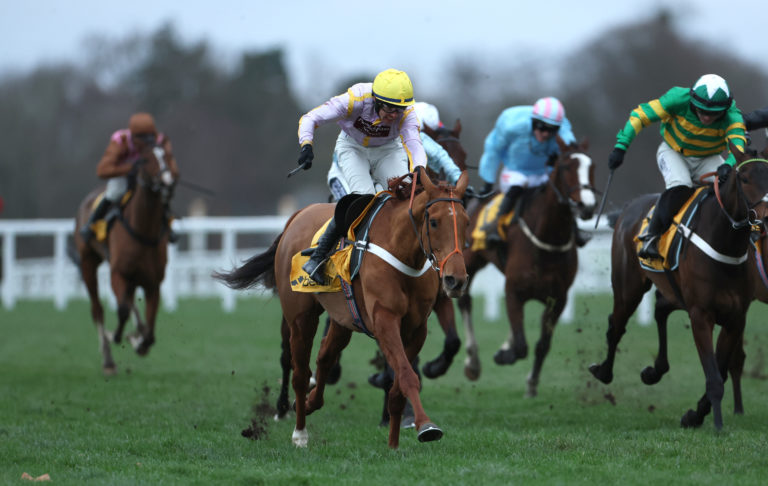 Luccia struck at Ascot in December