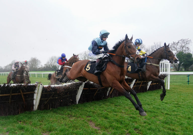 Nordic Tiger winning the Mulberry Developments Novices' Handicap Hurdle
