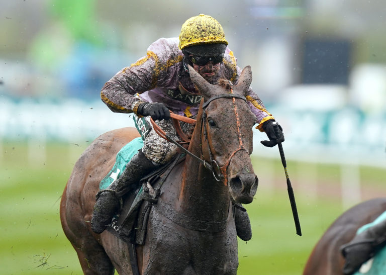 Luccia is one of four runners for Nicky Henderson