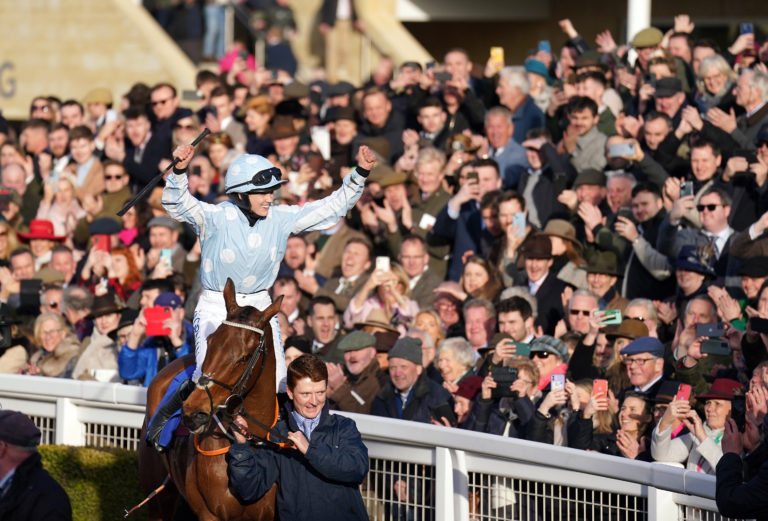 Honeysuckle raised the Cheltenham roof in 2023