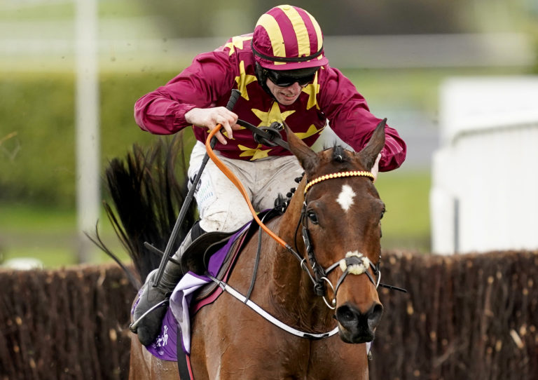 Minella Indo won the 2021 Cheltenham Gold Cup