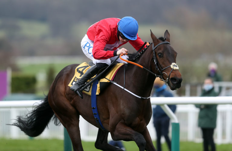 Quilixios won the Triumph Hurdle in 2021, but is Arkle-bound now