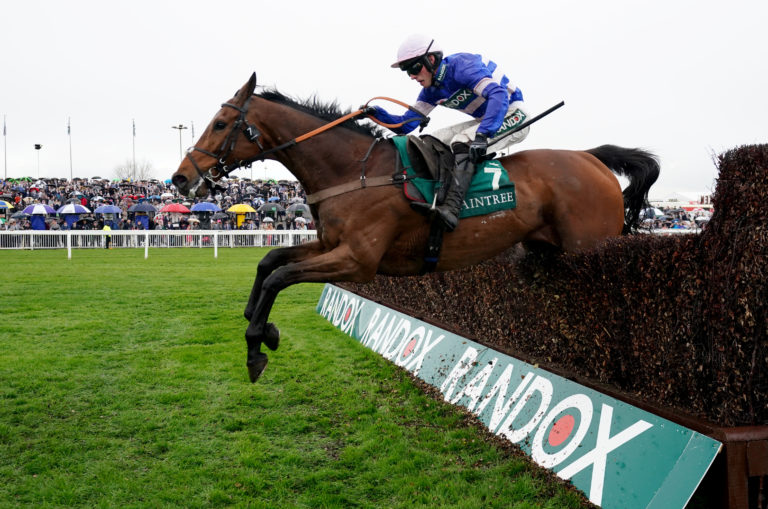 Pic D'Orhy in action at Aintree last season