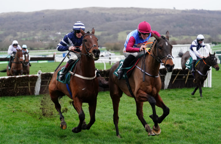 Butch (right) in action during The Paddy Power Handicap Hurdle at Cheltenham on New Year's Day