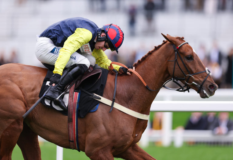 Pic Roc ridden by Ben Jones wins the Ascot Shop Novices' Hurdle
