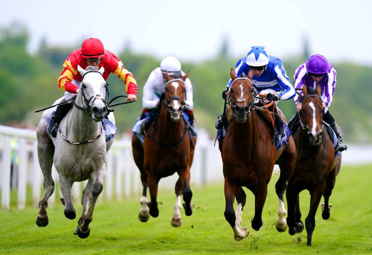 he Foxes (right) winning the Dante at York last year