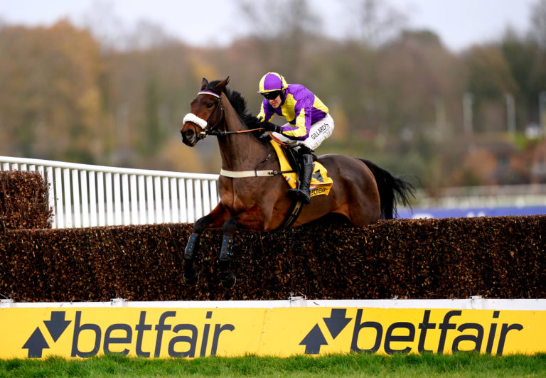 Le Patron won the Henry VIII Novices' Chase in December