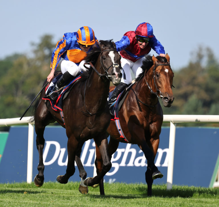 Luxembourg (right) finishing second to stablemate Auguste Rodin in the Irish Champion Stakes