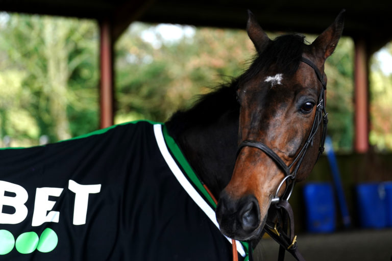 Constitution Hill has only run once this season