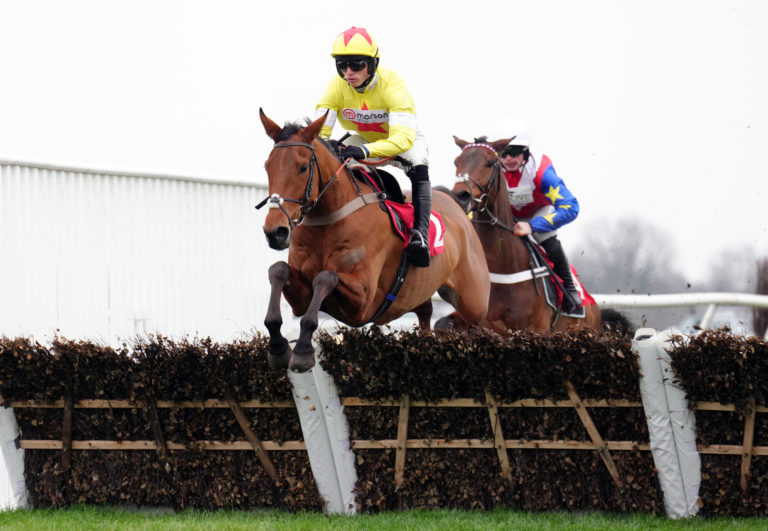 Kalif Du Berlais impressed on his UK debut