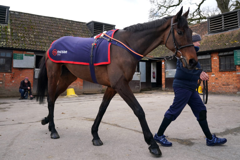 Ginny's Destiny at Paul Nicholls' Manor Farm Stables