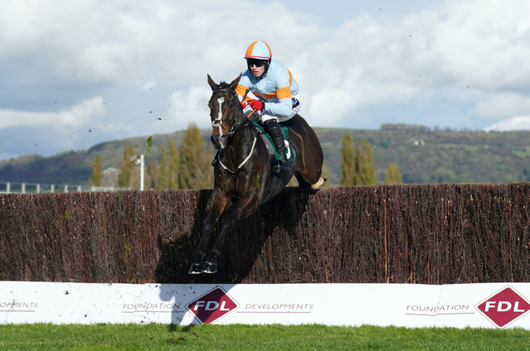 My Mate Mozzie winning the squareintheair.com Novices' Chase at Cheltenham